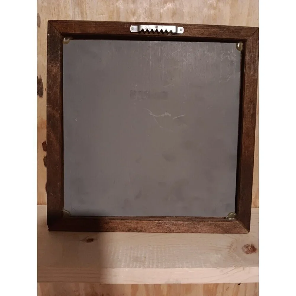 Vintage MCM Frosted Glass Mirror Framed Dried Flower And Butterfly Arrangement
